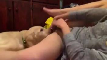 Slim bestiality enthusiast being tongued all over by an alluring canine