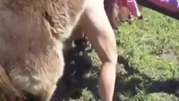 Plush creature aggressively penetrates older woman's vagina outdoors in explicit video