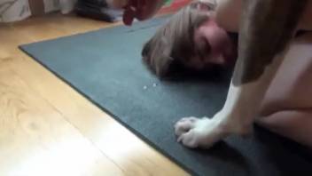 Voluptuous vixen getting anally pounded by a perverted pooch