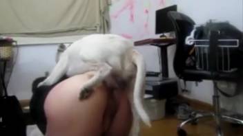Intense doggy-style anal pounding with a pale mongrel