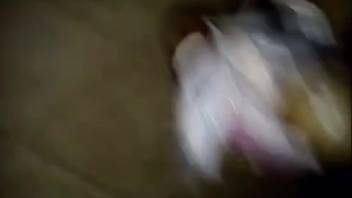 Awesome adult film with tons of snail-fucking action