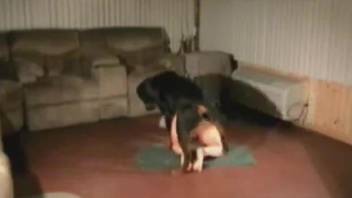 Strong scenes of dog fuck with a woman in heats and very sexy