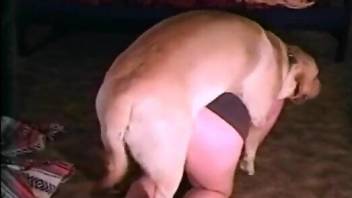 Hot lady with a huge booty getting dicked by a dog