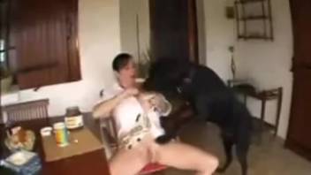 Experienced animal-loving woman inserts that dick into her teasing mouth
