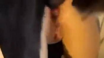 Girl with pink hair blowing two cocks simultaneously