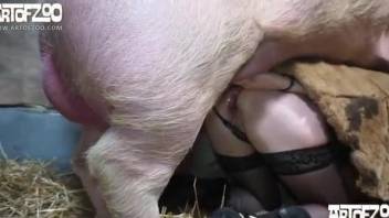 Horny milf bends ass and gets the pussy fucked by a horny pig