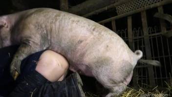 Dominant pig fucks a dude in the ass and it's cruel