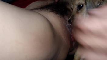 Furry bestiality-loving cunt satisfied by a hot canine