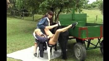 Country girls wind up fucking a horny black pony