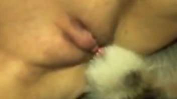 Perfect mature pussy impaled on an animal dong