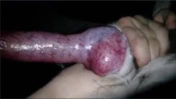 Filthy vixen savoring steamy blowjob in a complimentary adult flick