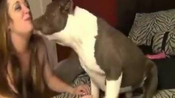Dog's great cock serviced by a total ass kisser