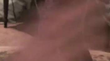 Old slut can't resist banging a hot beast
