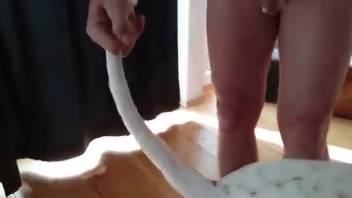 Guy experiments with bestiality and enjoys every moment of it