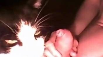 Sexy kitten sucking on that juicy penis on camera