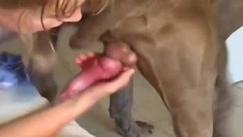 Attractive chick sucking on a dog's hard dick