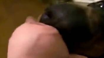 Dude's dick pleasured heavily by a really sexy dog
