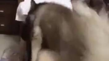 Dark-skinned brute slamming a brown-haired girl doggy style intensely
