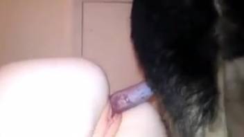 Pale blonde chick with a smooth-shaven pussy banging a mongrel dog