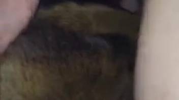 Sexy dude thrusts his cock into the freaky beast