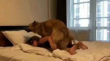 Blonde female filmed in great angles trying sex with the dog