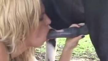 Slender blonde babe with a steamy snatch gets hammered by a small horse