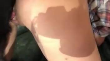 Ebony hound penetrates a slender chick's rosy snatch