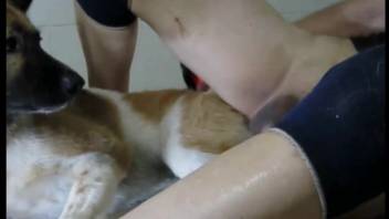 Beast thrusts its stiff dick profoundly into this bestiality lover's opening