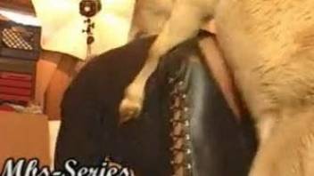 Leather-wearing chick getting fucked by a sexy pooch