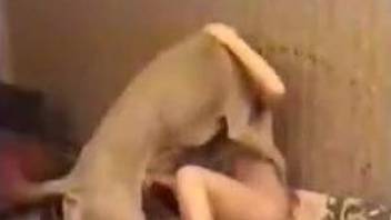 Dirty dog fucking a MILF's pussy from behind