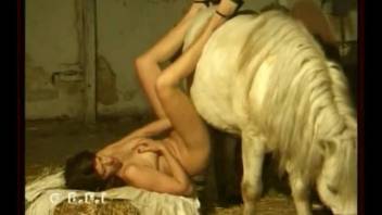 Horny woman came in stable for dirty sex with trained stallion