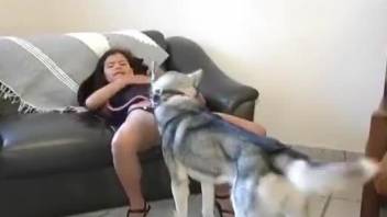 Small-breasted beauty is going to get fucked by a dog