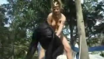 Outdoor bestiality action with a nice black monkey