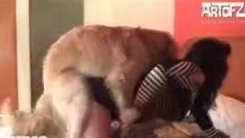 Housewife and Golden Retriever try to have sex in bedroom