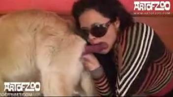 Fluffy canine thrusts into woman's vagina and she enjoys it
