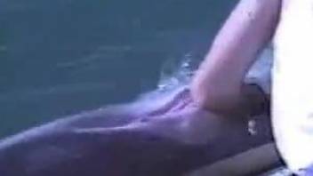 Sexy dolphin porn video with a nice twist to it