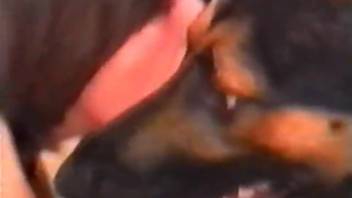 Homemade canine zoophilia encounter featuring an eager woman and her charming pet