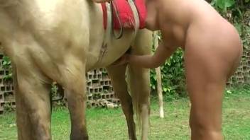 Caucasian stallion enjoys himself with a voluptuous pale lady