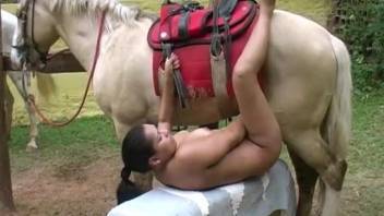 White horse has fun with a white busty woman
