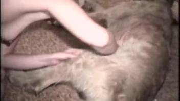 Thick-bottomed blonde mature woman gets pounded by a fluffy mutt with a massive dick