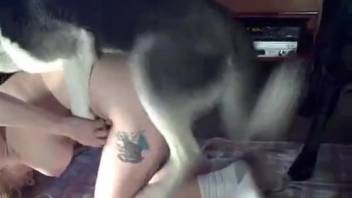 Aroused Husky thrusts into alluring dominatrix from behind