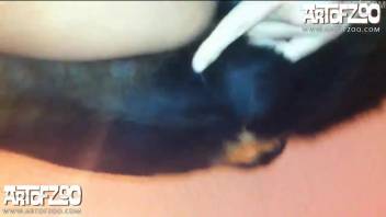 Ebony canine thrusts into an alluring veiled animal enthusiast in homemade zoophilia erotica