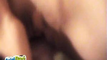 Hairy canine thrusts into owner's wet vagina with his rigid cock