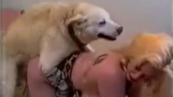 Busty blonde babe getting pounded hard by a well-endowed pooch