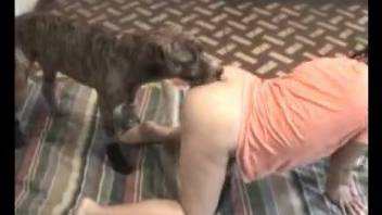 Dark-haired MILF drilled hard by a dog on all fours
