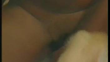 Bare sluts exploiting animals to satisfy their lustful cravings during webcam performances