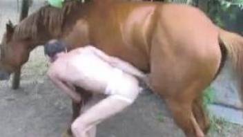 Gay man bends ass for a bit of horse sex in outdoor