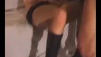Intense animal sex featuring a super busty babe