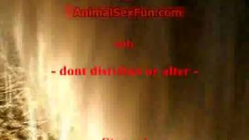Pantyhose-clad mature woman is ravaged by an alluring stallion