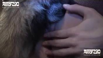 Dark-haired woman in nylons enjoys nasty bestiality with a dog in zoo porn clip
